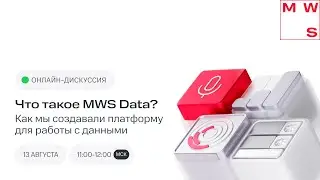 Онлайн-дискуссия &laquo;Что такое MWS Data? Как мы создавали платформу для работы с данными&raquo;