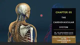 Medical Terminology | Unit 05 - P03 | Structures and Functions of The Cardiovascular System