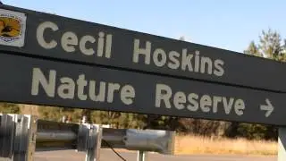 Southern Highlands Tourist Drive 14