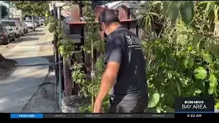Oakland California Resident Is Fed Up With Rising Crime: &ldquo;My Plan Is Get The Hell Out Of Oakland&rdquo;