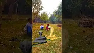 Snake vfx video. snake funny vfx short. #vfx #shorts #vfxshorts #snake #snakevideo #naag #naagin 🐍🐍