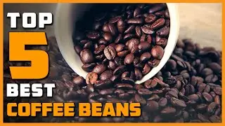 Top 5 Best Coffee Beans Review in 2026
