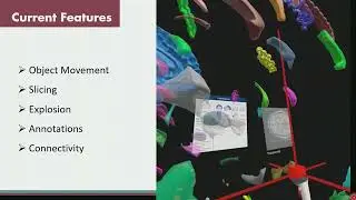 OHBM 2025 | Oral Session | Michael Marxen | AR NeuroVison &ndash; Explaining Brain Functions in 3D
