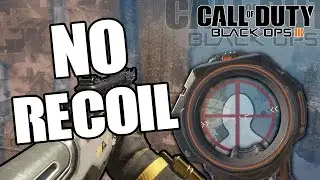 HOW TO HAVE NO RECOIL IN BO3! NEW BO3 