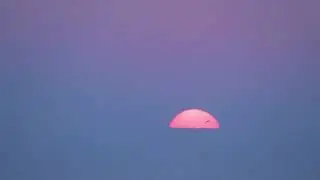 Cigüita Palmera- Viaje al amanecer