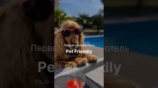 Апартаменты с авторским ремонтом! Есть предложения - звоните: +7 978 177 03 77 #крым #realestate