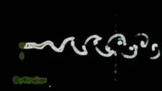 liquid movement - science experiment