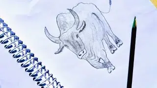 How to Draw a Cow from 