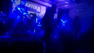 Vulgair Display of Pantera