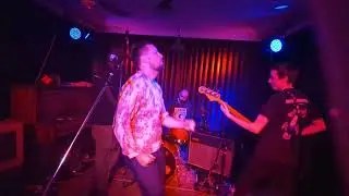 Ted Danson With Wolves - Never Look A .gif Horse In The Mouth [Live]