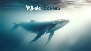 Oceanic Whale Echoes: Deep Sound Healing for Emotional Depth and Wisdom | Animelodics Songs