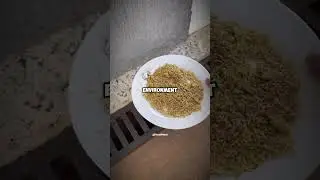 Stop Pests Naturally! 🐜