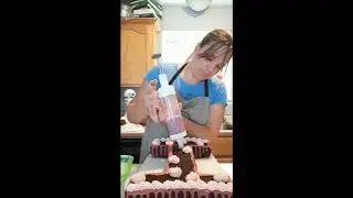 Numbers and Letters Cake Pan/Easy Accent Decorator