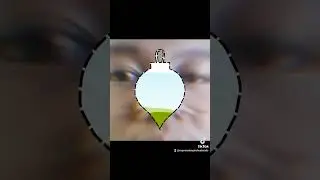 TikTok Video Comic 1 (Canva) SIMPLE CHRISTMAS ORNAMENT FRAME (STYLE 2)