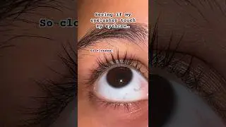 Seeing if my eyelashes touch my brows! #eyes #eyelashes #trend