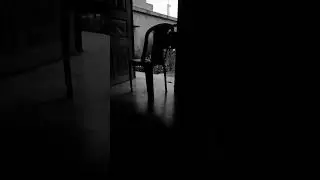 Scary Chair 🏚️ #shorts