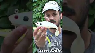 🔥 El Monstruo de los lucios🔥