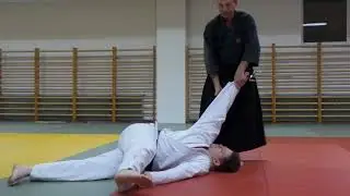 Hubert Laenen Kyoshi  - Impressionen vom Seminar in Graz, Dezember 2019