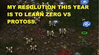 I WILL LEARN ZERG VS PROTOSS IN 2024