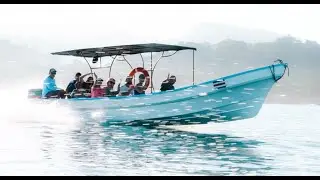 A week in Costa Rica with Surf Expedition | December 5 - 11, 2021
