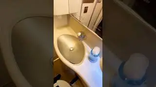 ✈️Plane Toilet 🚽 Thai Airways to Bangkok
