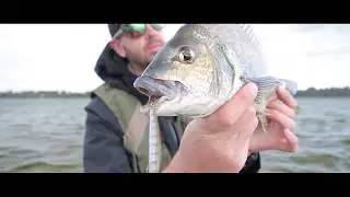 Daiwa Double clutch lure and Black bream