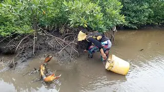 Crab Hunting Secrets: Woman's Amazing Skill in the Mangrove Wilderness