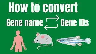 BioMart: How to convert Gene symbols into gene IDs