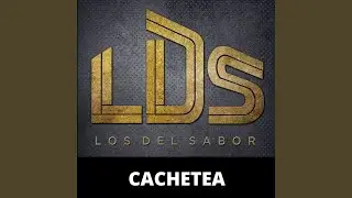 Cachetea