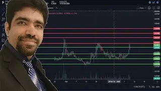 #78 | 🚨 Market Opportunities 🚨 | Xeggex | 💸💲 BTCW