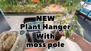 Plant Hanger with Moss Pole