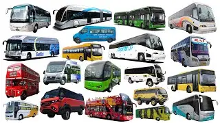 Bus Names for Kids 🚌 | Learn Vehicle Names in English | City Bus, School Bus & More
