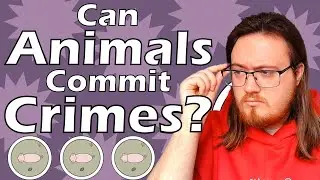 History Student Reacts to Can Animals Commit Crimes? Historia Civilis