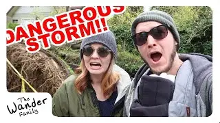 😱 TREE FALLS ON HOUSE!! 💥 | The Wander Family