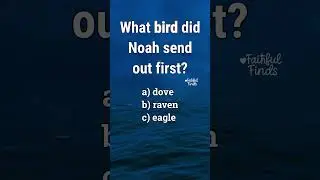 🌈 QUIZ TIME! Which Bird Did Noah Release Before the Dove? 🐦