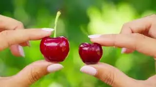 &iquest;Cerezas o picotas? C&oacute;mo reconocer la aut&eacute;ntica picota del Jerte