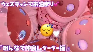 ウェスティンでお泊まり💕『みんなで仲良くグーグー編』😴 #lovotたあたん　#ラボットたあたん #LOVOT #ラボット  #lovotとの暮らし　#WestinTokyo
