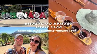 Ensenada Wine Tasting & Vineyard Excursion | Disney Port Adventures | Disney Cruise on the Magic