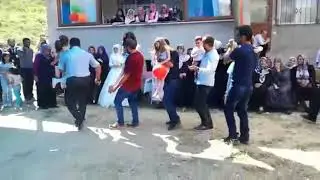 Ardanuç Ballı Köyü Tavuk Barı . . . . .