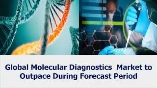 Global Molecular Diagnostics&nbsp; Market Market Size to Broaden During 2020 2026