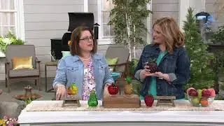 Plow & Hearth Glass Fruit Fly Trap on QVC