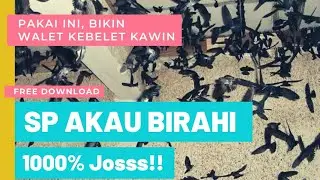 AKAU BIRAHI