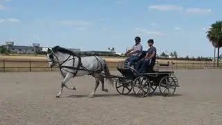 TECNICA MAC - Enganche en limonera (2019) Parte 1
