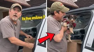 Dad's HEART MELTED the moment he realized the puppy was HIS!🎁🐶| New Puppy Surprise