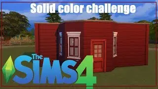 TS4:Solid color challenge.