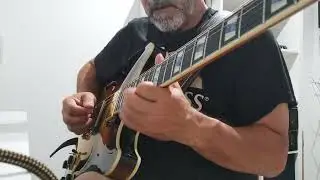 Ibanez AS 153 AYS. 
