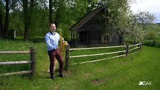 Edmundas Kučinskas - Baladė apie medžius (Saksofonistas Juozas Kuraitis Disco Remix 2022)