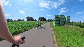 BETWEEN ORCHARDS AND FIELDS - 4K POV Summer Bike Ride in Haspengouw, Limburg (Belgium)