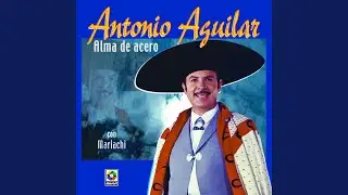 Se Me Fue Mi Amor
