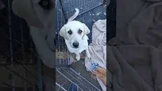 Кого-то только что усыновили.